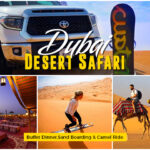 Dubai Desert Safari