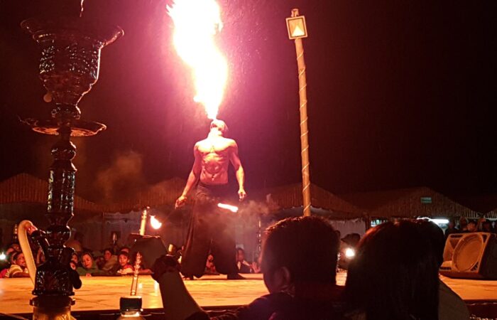 Fire show